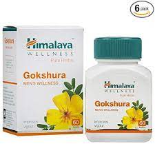 GOKSHURA TAB 60TAB
